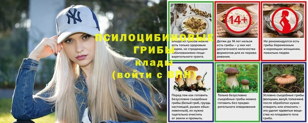 синтетический гашиш Заводоуковск