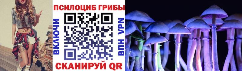 Купить  Малмыж  Галлюциногенные грибы Psilocybe 
